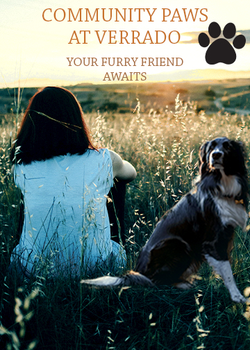 poster of a lady embracing dog in field at dusk