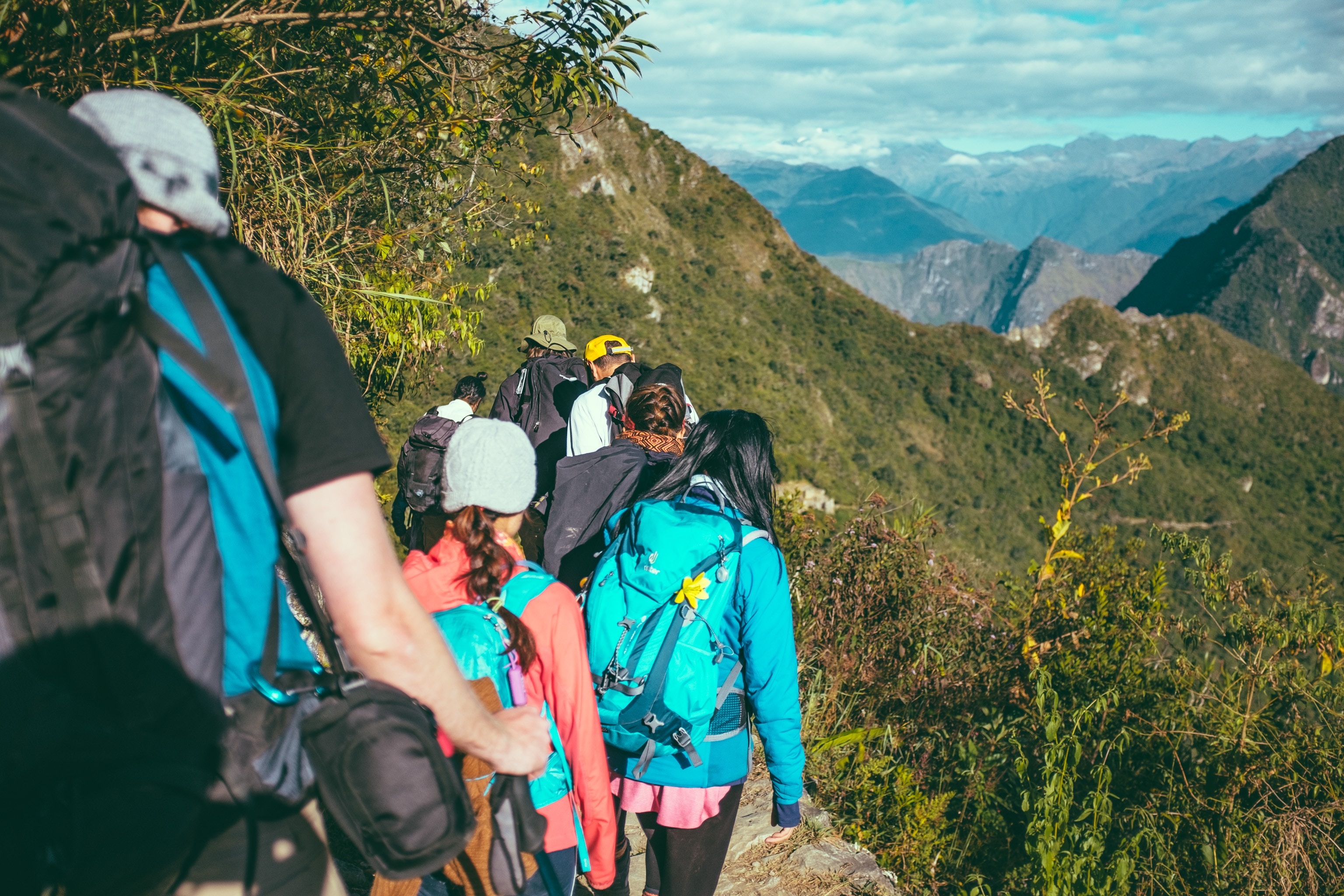 a group hiking in a forested mountain